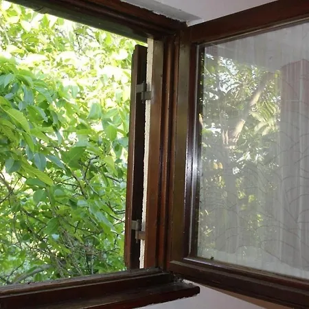 Ganze In Mit Garten Und Terrasse شقة